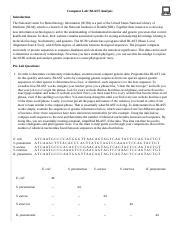 Computer Lab Blast Analysis Answer Key