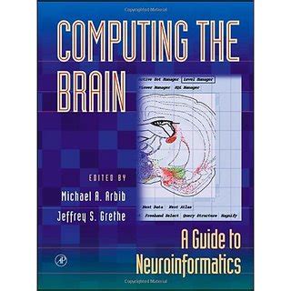 Full Download Computing The Brain A Guide To Neuroinformatics 