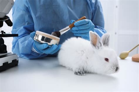 Con Animal Testing