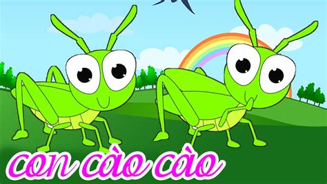 con cao cao | Con Co Co Tp Ca Thiu Nhi