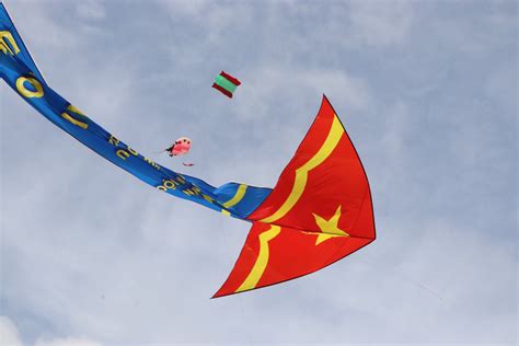 con diều | Con diu Gi Tt Min Ph Vn