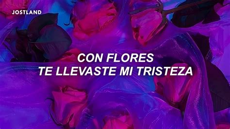 Con Flores Te Llevaste Mi Tristeza Con Colores Letra