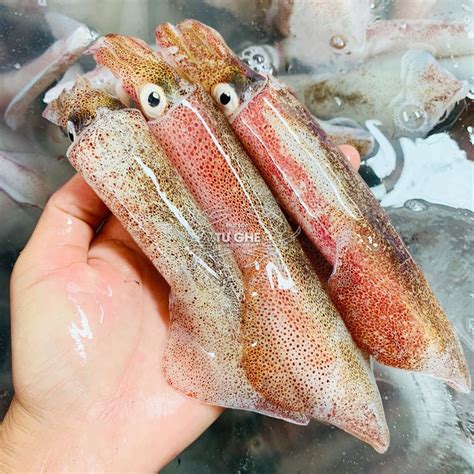 con mực | 2114 mn con mc thm ngon a