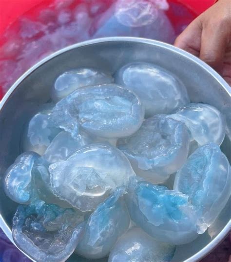 con nuốc | 4 Cch lm mn ngon t con