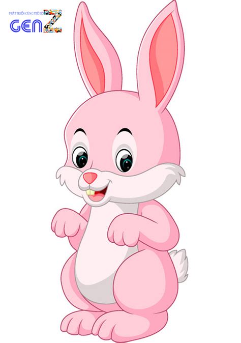 con thỏ | c im sinh hc ca th phn