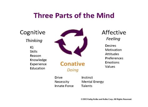 Conative Meaning