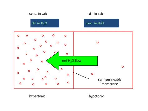 conc meaning in chemistry