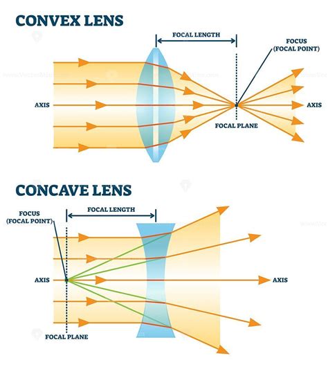 Concave And Convex Lens Lesson Plans Amp Worksheets Concave And Convex Lenses Worksheet - Concave And Convex Lenses Worksheet