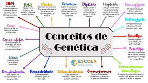 Conceitos Basicos De Genetica