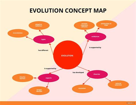 Concept Map Events At The Neuromuscular Junction