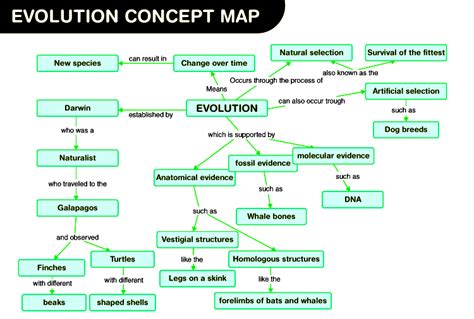 Concept Map For Evolution