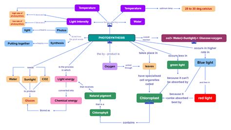 Concept Map For Photosynthesis