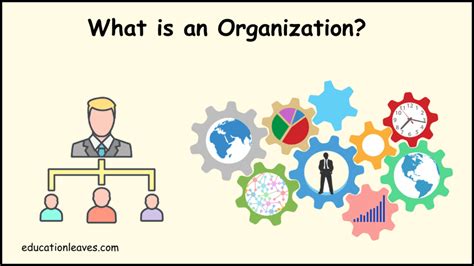 Concept Of Organization