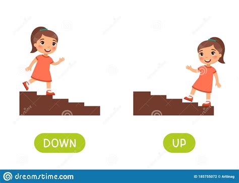 Concept Of Up And Down Comparison For Kids Concept Of Up And Down - Concept Of Up And Down