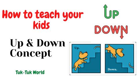 Concept Of Up And Down Kindergarten Online Classes Concept Of Up And Down - Concept Of Up And Down