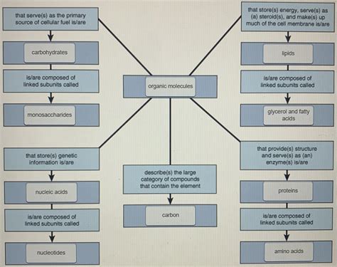 Concept Review Building Blocks Compounds Cells Answers