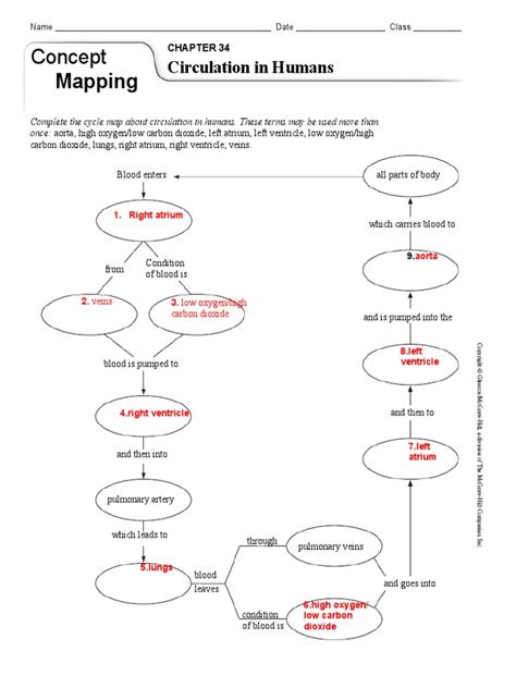 Read Concept Chapter 34 Mapping Circulation In Humans 