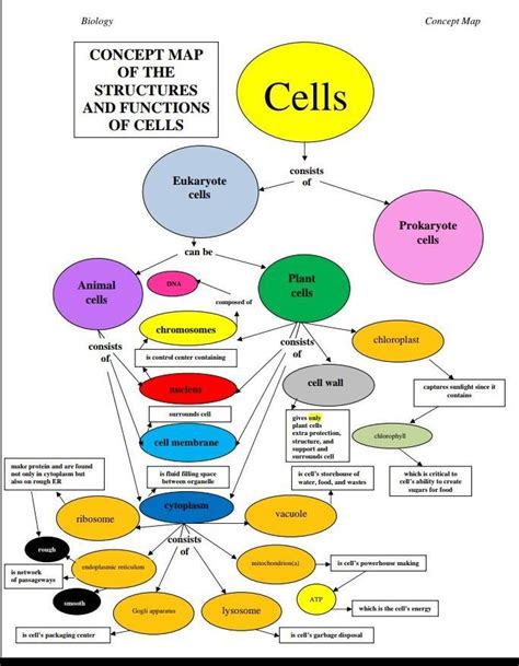 Full Download Concept Map Cell Structures Critical Thinking Answers 