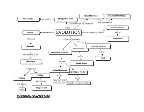 Full Download Concept Map For Evolution With Answers 