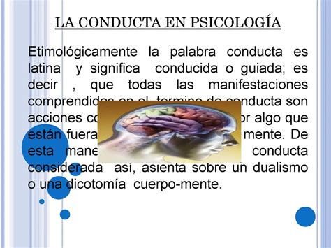 Concepto De Conducta