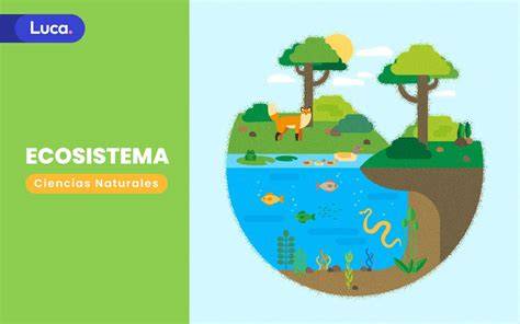 Concepto De Ecosistema