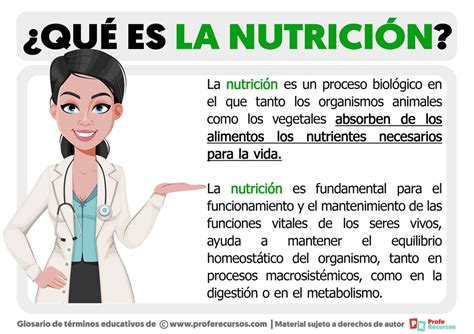 Concepto De Nutricion