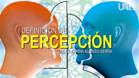 Concepto De Percepción