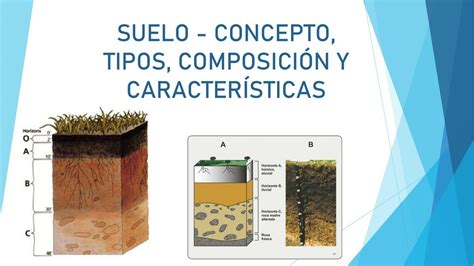 Concepto De Suelo