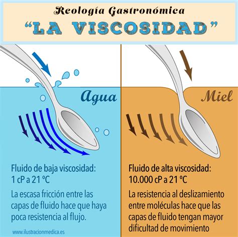 Concepto De Viscosidad
