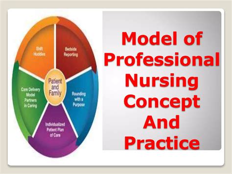 Concepts Of Professional Nursing Practice