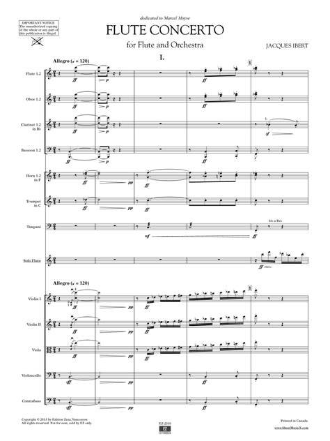 concerto for flute and orchestra in g major conce