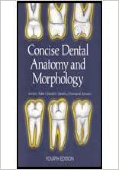 Full Download Concise Dental Anatomy And Morphology 4Th Fourth Edition By Fuller Jim Published By University Of Iowa College Of Dentistry 2001 Paperback 