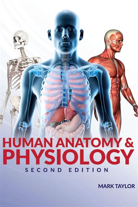 Read Concise Human Physiology Second Edition 