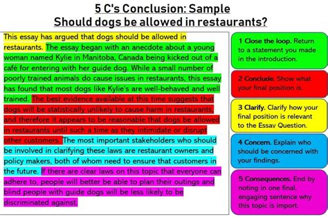 Conclusion Essay Example