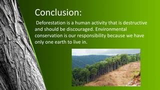 Conclusion Of Deforestation