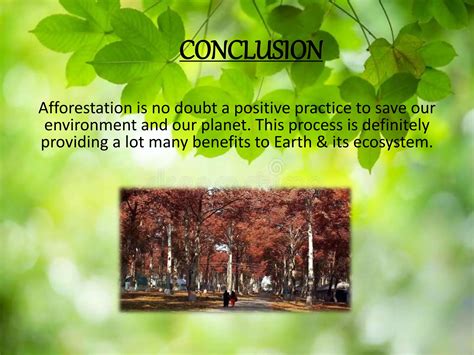 Conclusion Of Environment