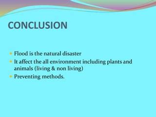 Conclusion Of Flood