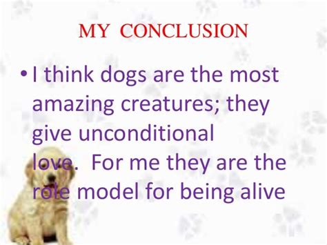 Conclusion To 8 Dogs Amp A Motorhome Small 10 Sentences About Dog - 10 Sentences About Dog