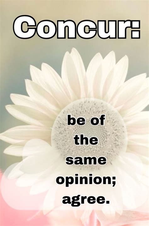 Concur Meaning