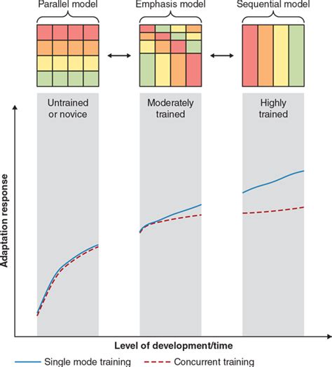 Concurrent Periodization The Development Of Strength And