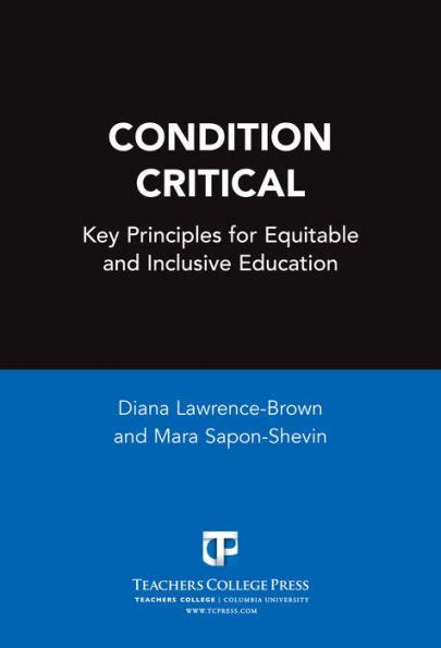 Condition Critical Key Principles For Equitable And Inclusive Education Disability Culture And Equity Series Disability Equity And Culture Series