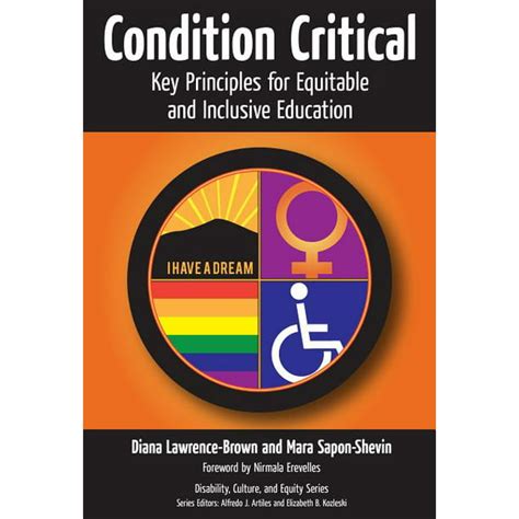 Full Download Condition Critical Key Principles For Equitable And Inclusive Education Disability Culture And Equity Series Disability Equity And Culture Series 