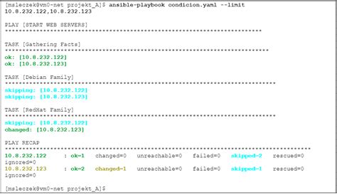 conditional statements should not include jinja2 templating delimiters