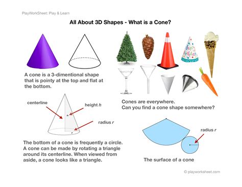 Cone Attributes Of A Cone - Attributes Of A Cone