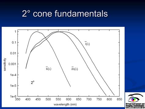 Cone Fundamentals Is A Misnomer Characteristics Of A Cone - Characteristics Of A Cone