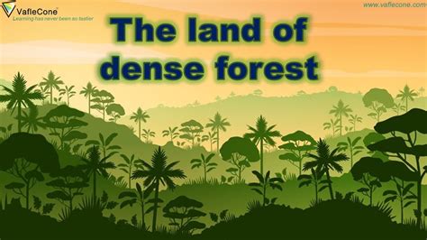 congo land of dense forest