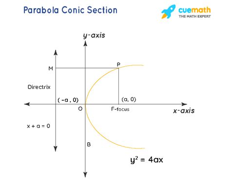 Conic Section Definition Formulas Equations Examples Conic Sections Parabola Worksheet Answers - Conic Sections Parabola Worksheet Answers
