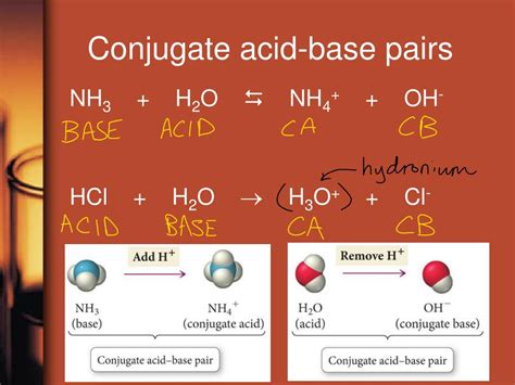 Conjugate Acid Base Pairs Pathways To Chemistry Acid Base Conjugate Pairs Worksheet - Acid Base Conjugate Pairs Worksheet
