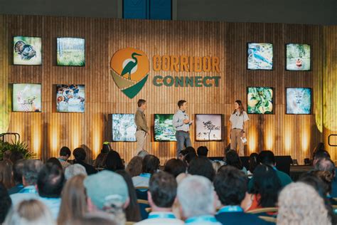 connect florida