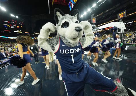 connecticut huskies